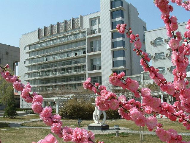啊…啊…操我…鸡巴好大视屏